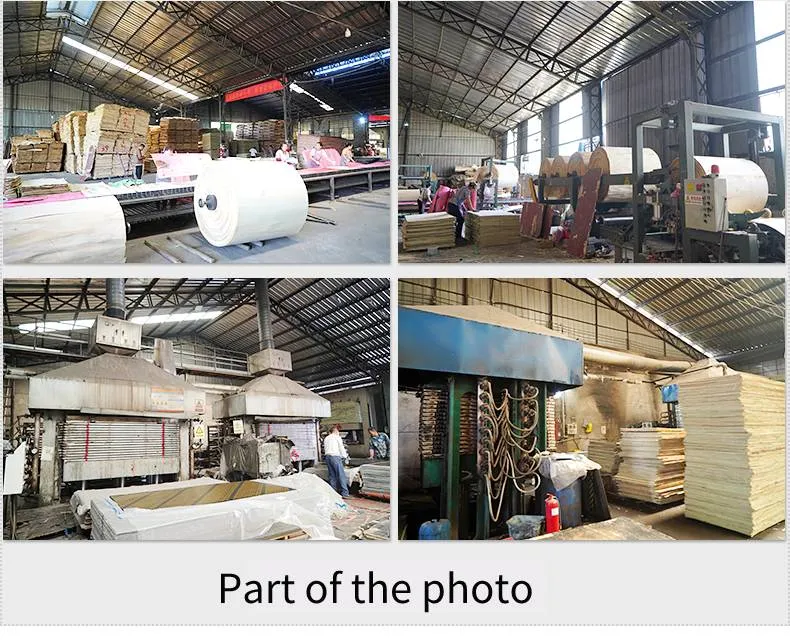 Film Faced Plywood 6