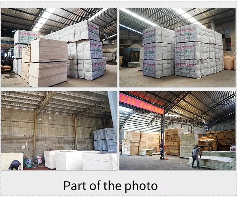 Film Faced Plywood 7