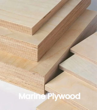 100% 16mm 18mm Eucalyptus Commercial Wood Calibrated Plywood