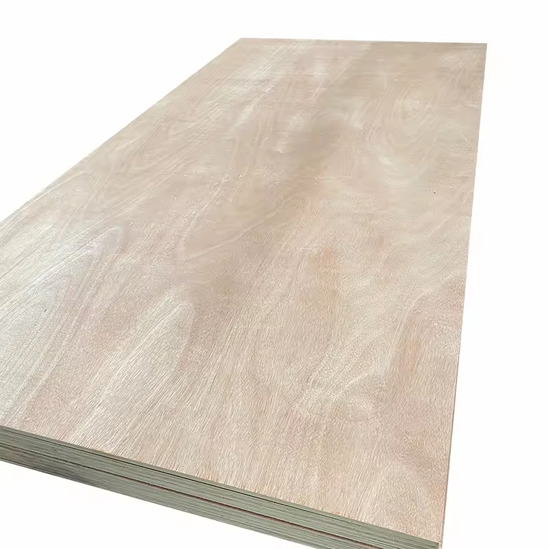 Wholesale 12mm 15mm 18mm Eucalyptus Core Birch Plywood Commercial for Furniture