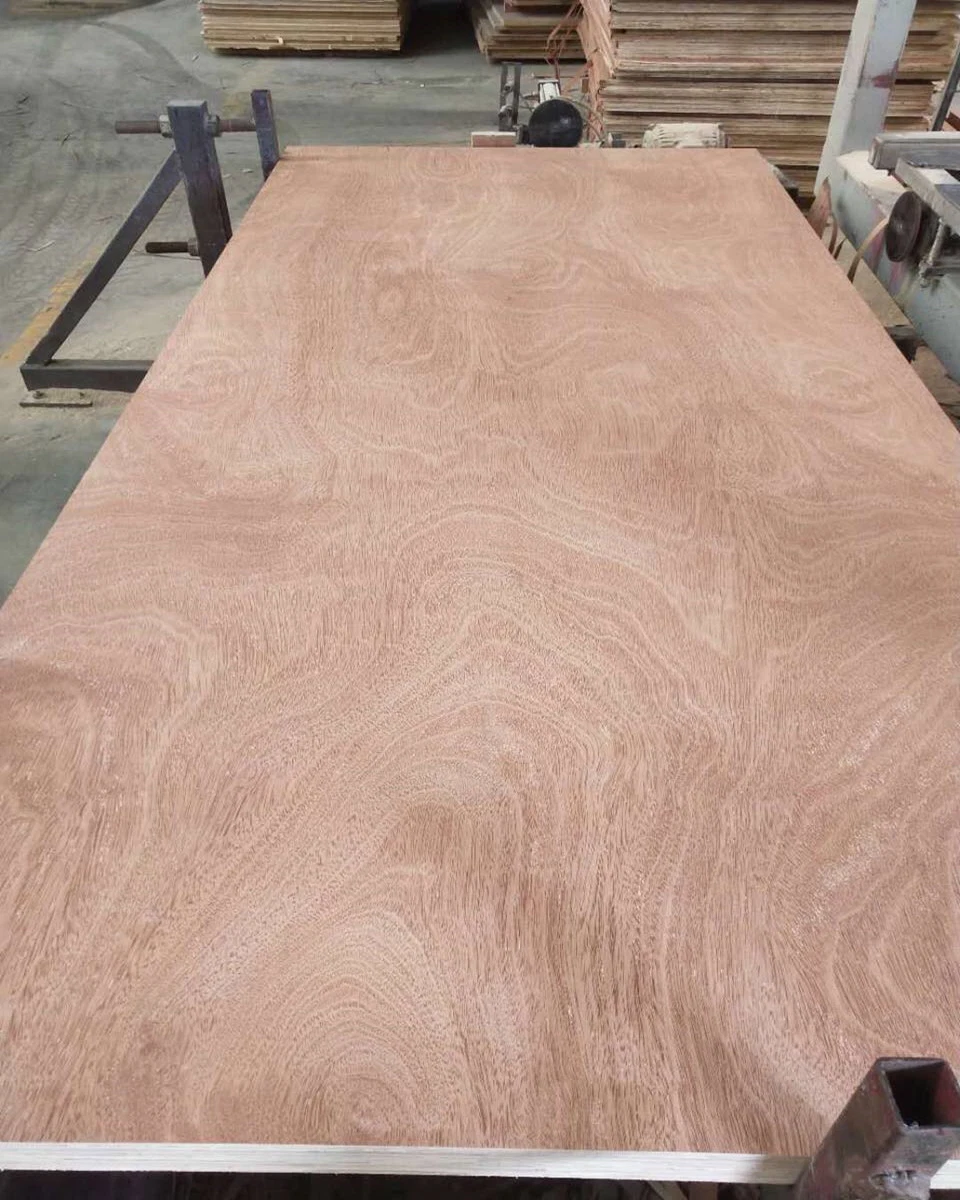 Cheap Decorative 3.6mm 6mm 12mm 18mm Fancy Veneered Plywood