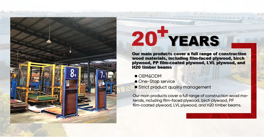 Structural Plywood Sheet