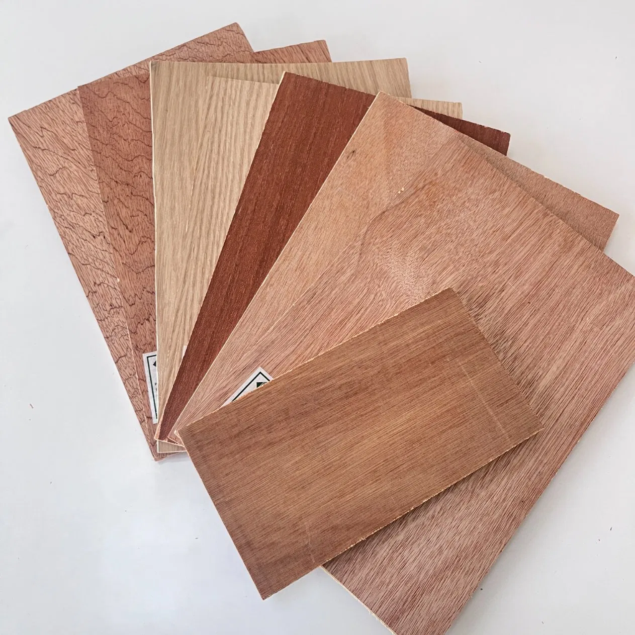 Bb Cc Grade Radiate Pine Plywood for Reliable Structural Support