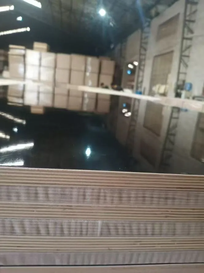 PET Laminated Plywood 1