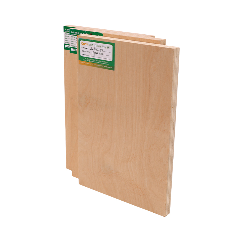 Competitive Price 18mm Waterproof Premium Cabinet Grade B/Bb Baltic Birch Plywood for Furniture