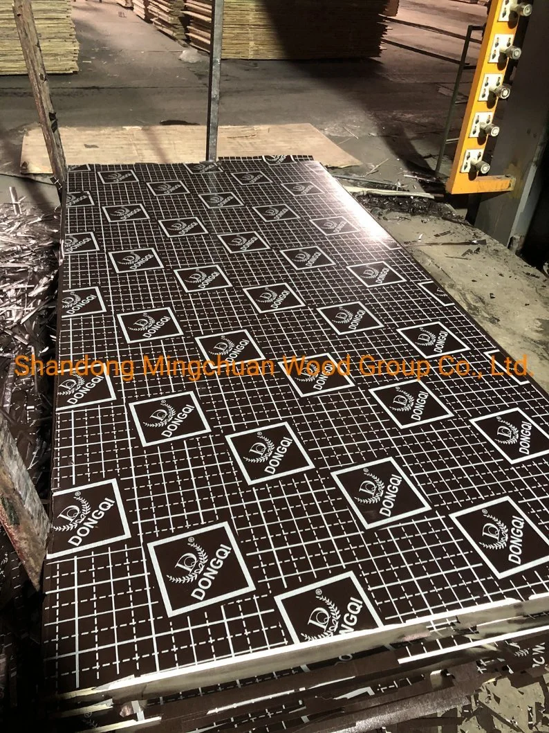 Building Materials 18mm Poplar Birch Core Formwork Construction Black Brown Film Faced Plywood