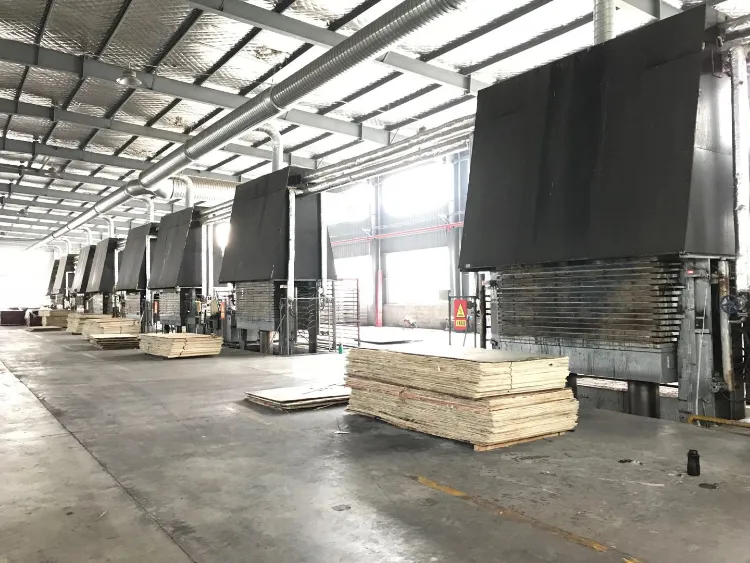 Film Faced Plywood Construction