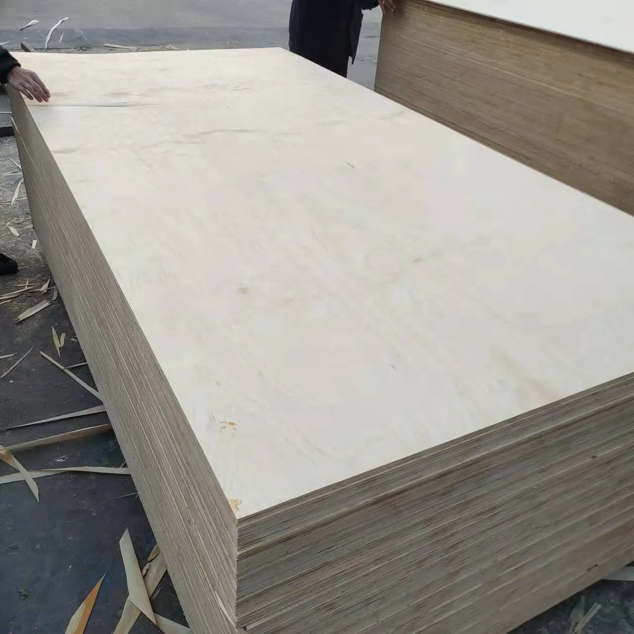 CDX Pine Plywood Non-Structural Radiate Pine Plywood 18mm