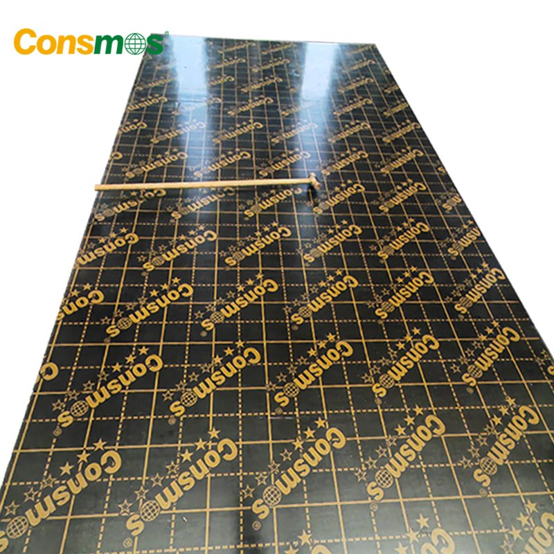 1250X2500mm 12mm 18mm Marine Plywood Film Faced Plywood for Construction