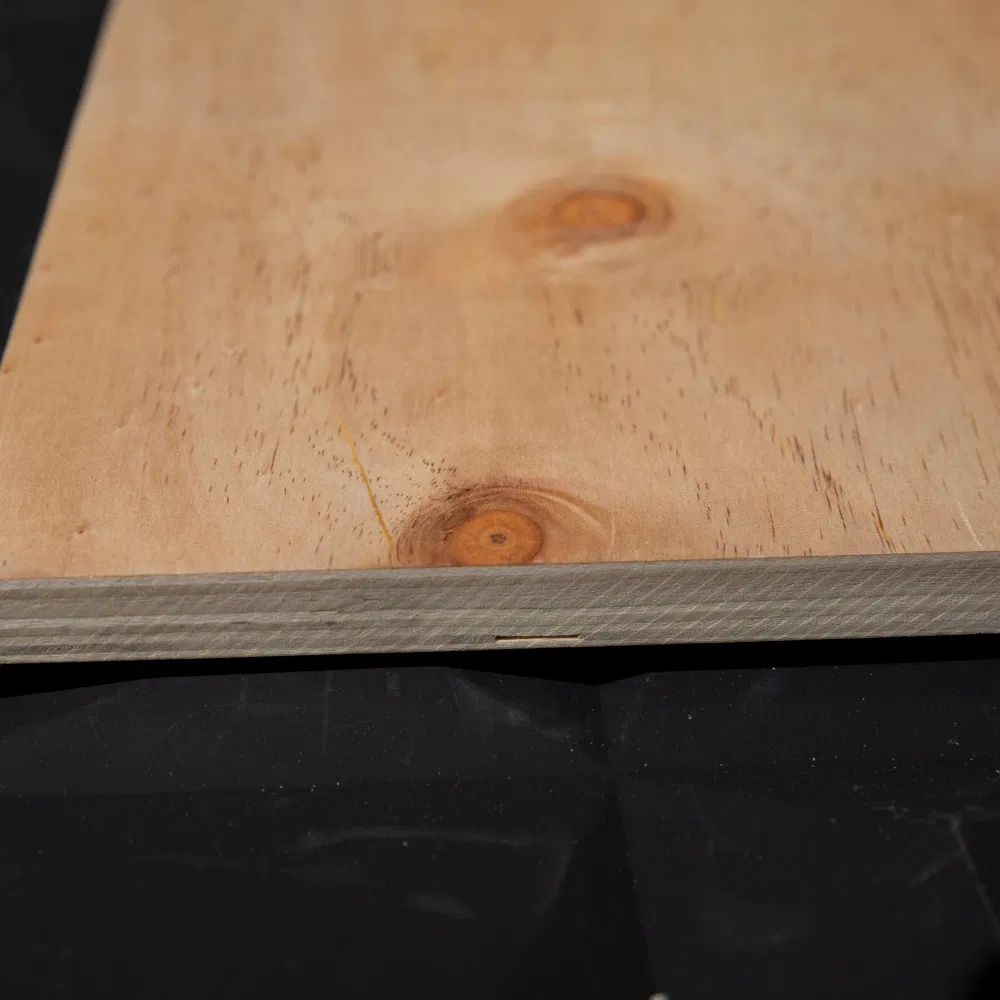 CDX Plywood Detail 4
