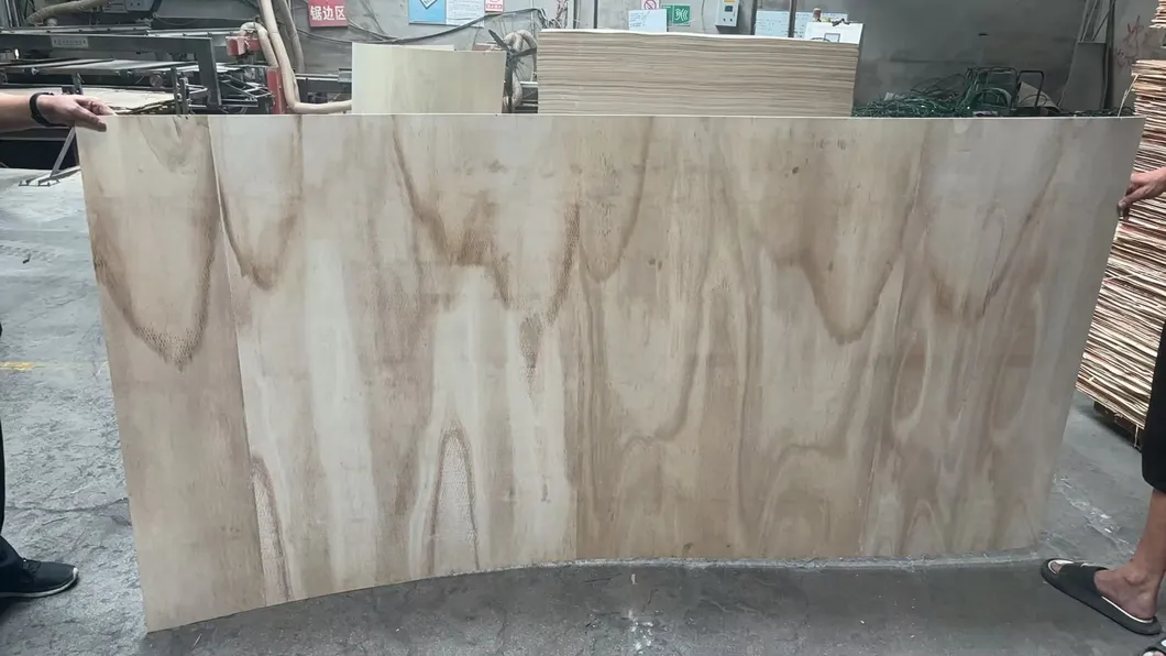 Flexible Curved Plywood 6