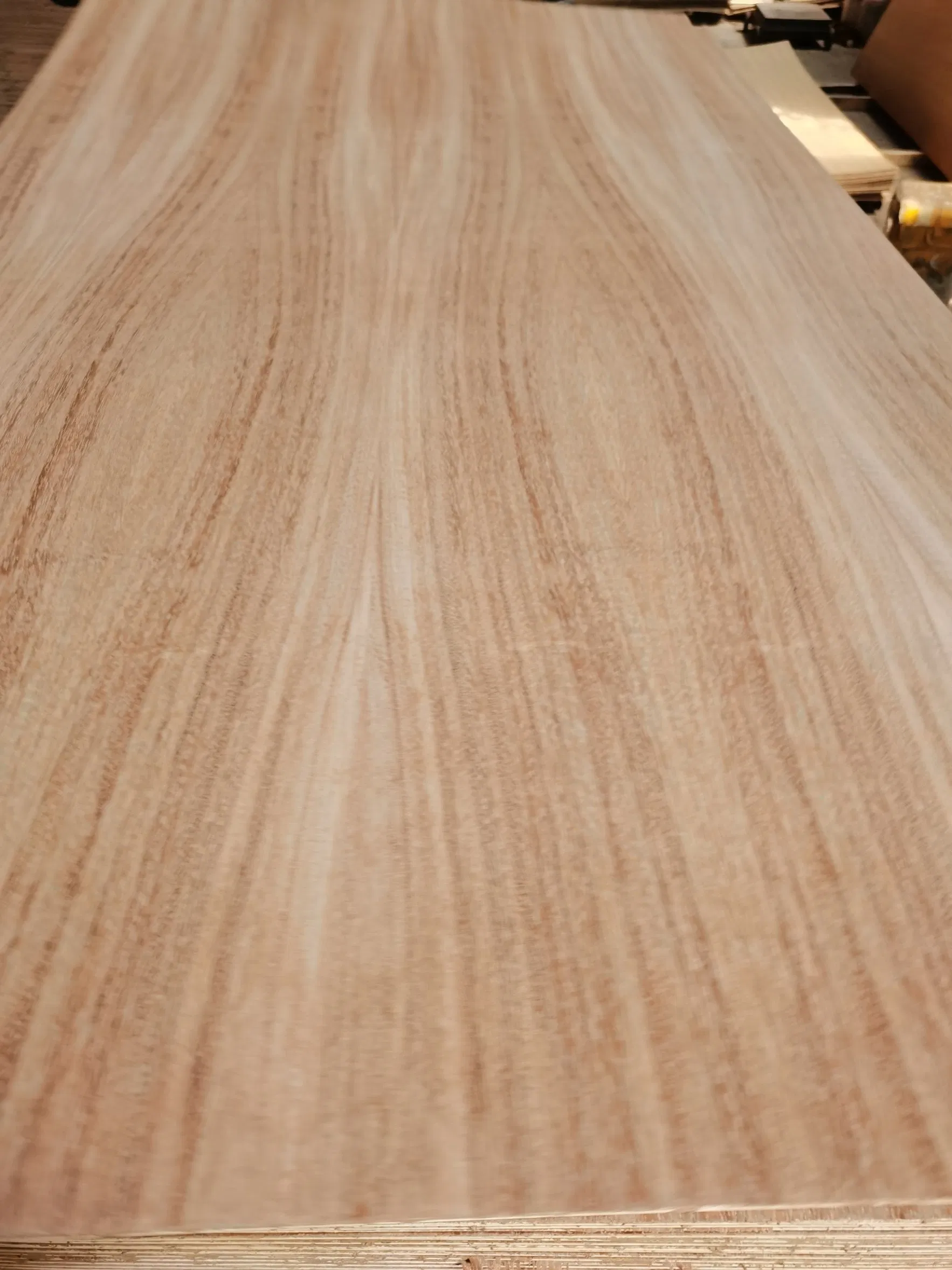 Natural Red Oak/Parota/Tzalam and Walnut Veneer Fancy Plywood with Furniture Grade 4.2mm in Mexico