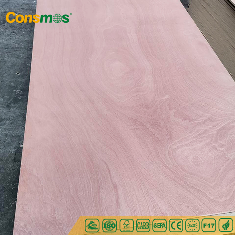 High Quality 12mm 15mm 18mm Waterproof Furniture Grade Sapele Bintangor EV Poplar Birch Veneer Hardwood Commercial Plywood Boards
