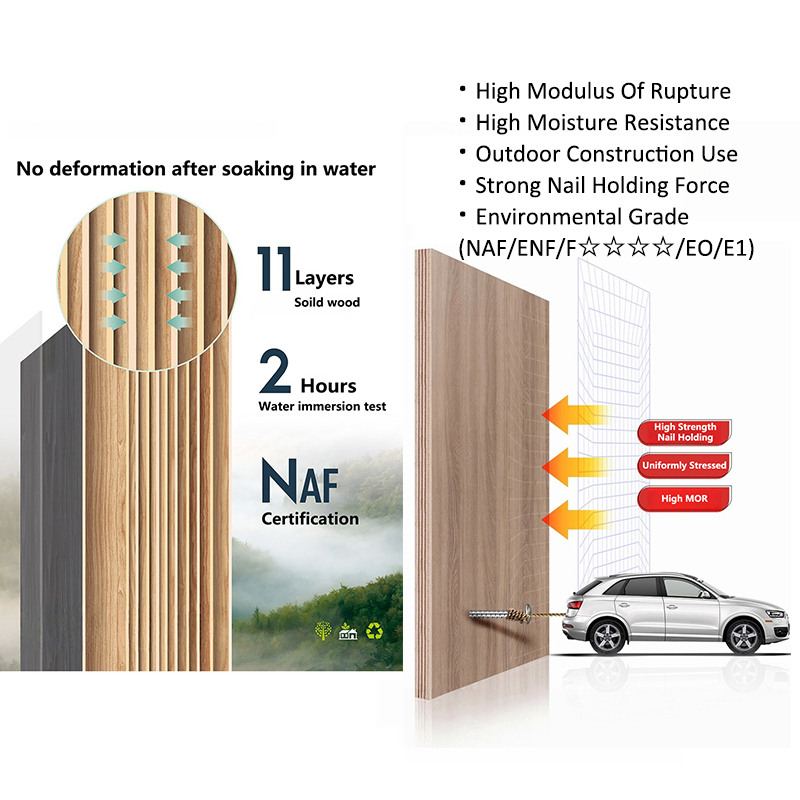 China Hot Sale 18mm Film Faced Plywood Formwork Marine Plywood for Seaside Villa