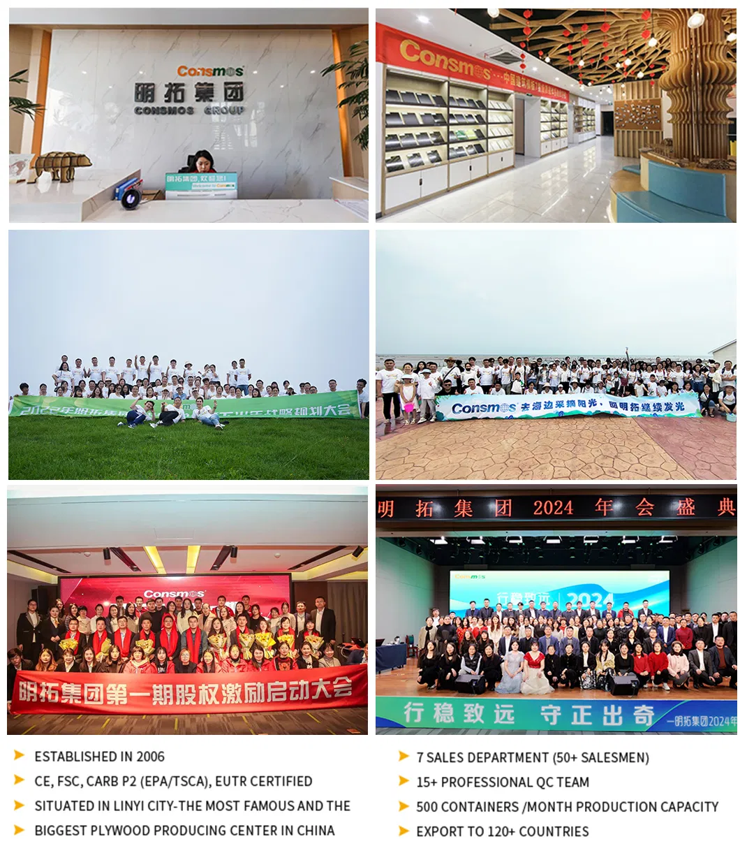 Manufacturing Process