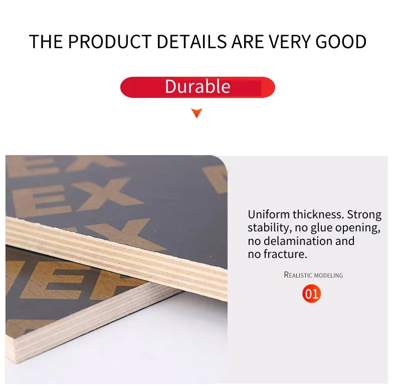 Film Faced Plywood 11