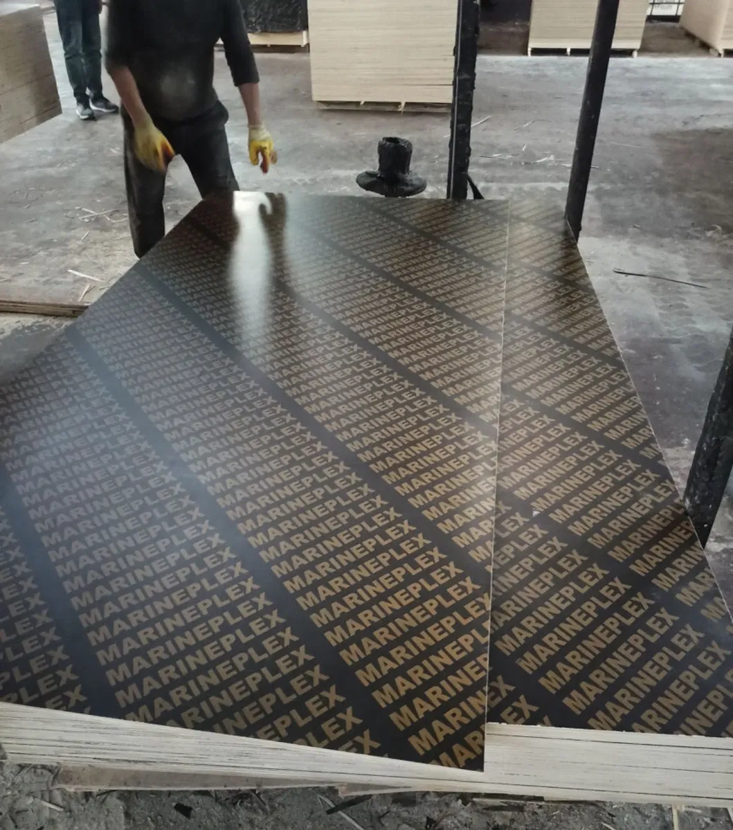 Film Faced Plywood View 2