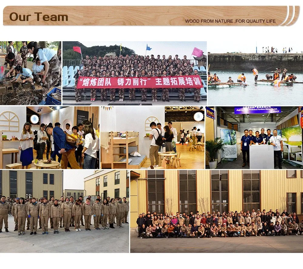 Our Professional Team