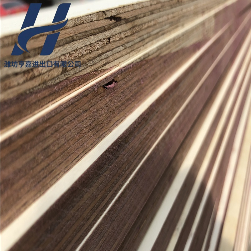 1220X2440mm 18mm Waterproof WBP Phenolic Glue Black Film Faced Plywood