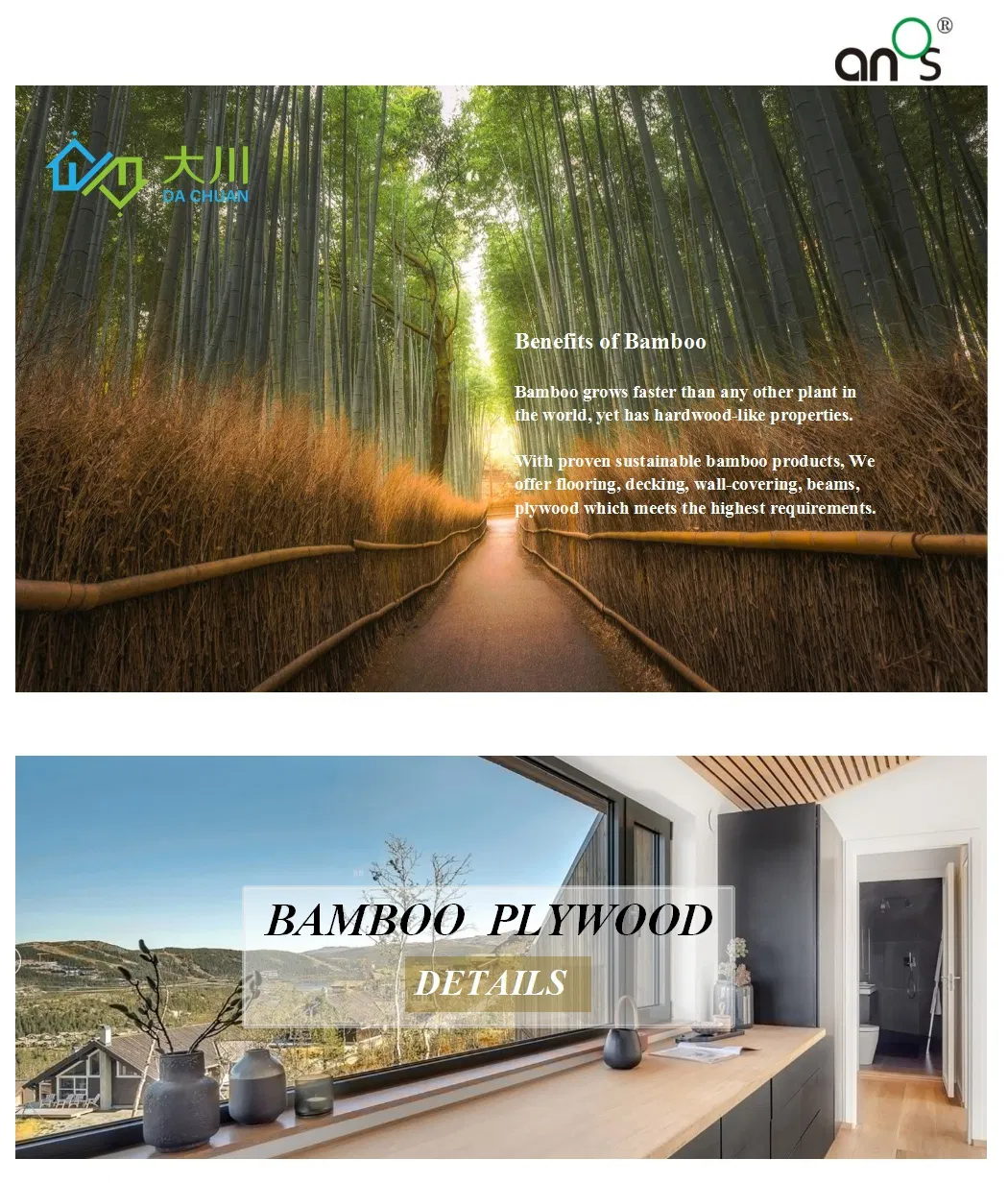 Bamboo Plywood Display