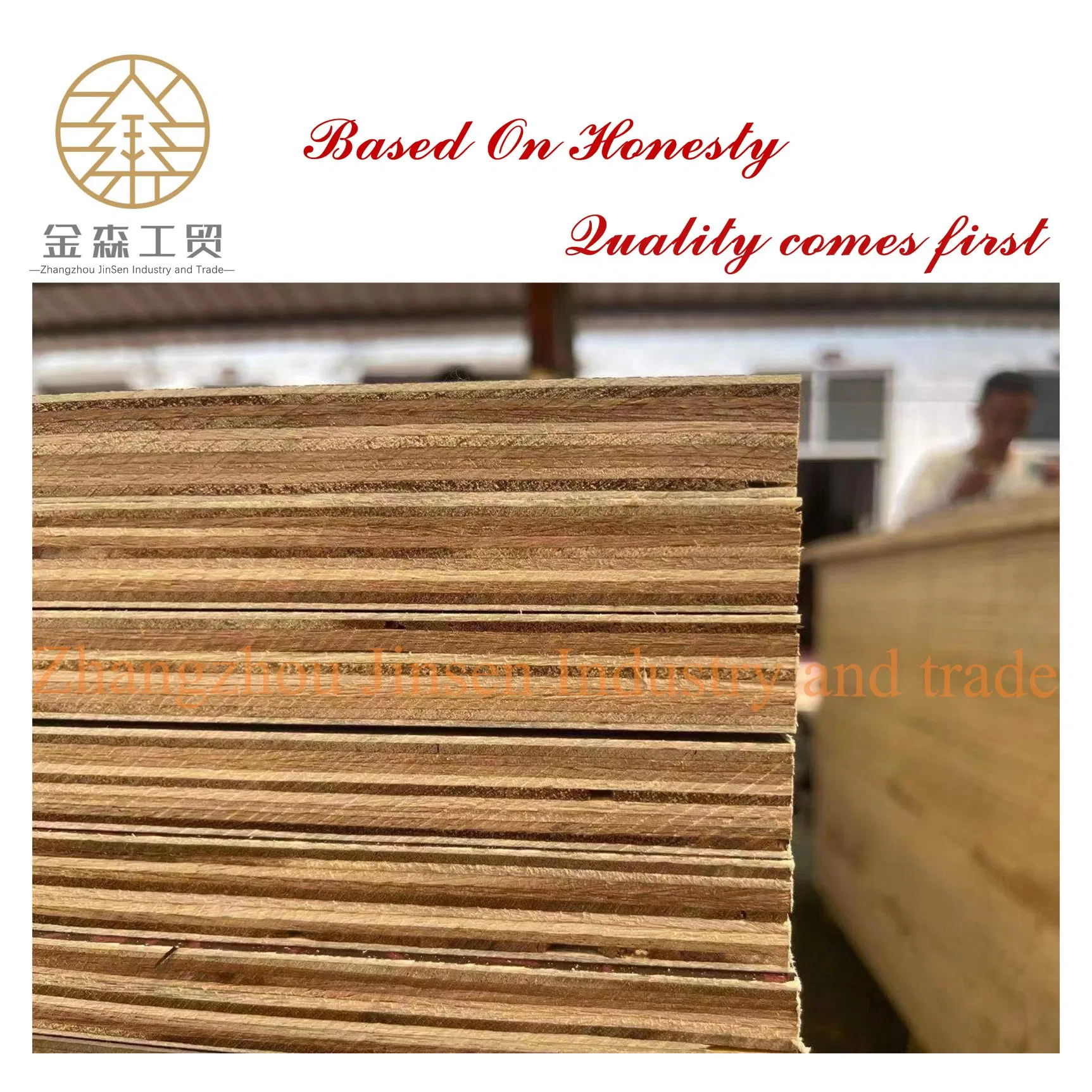 9mm/12mm/15mm/18mm 1220mm*2440mm Marine Plywood/Film Faced Plywood with Combi Core