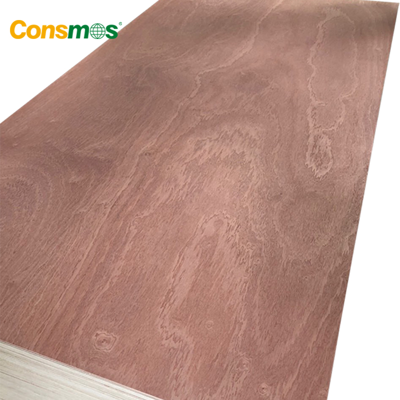 Comsmos 12mm 15mm 18mm Bintangor Okoume Birch Pine Faced Commercial Plywood
