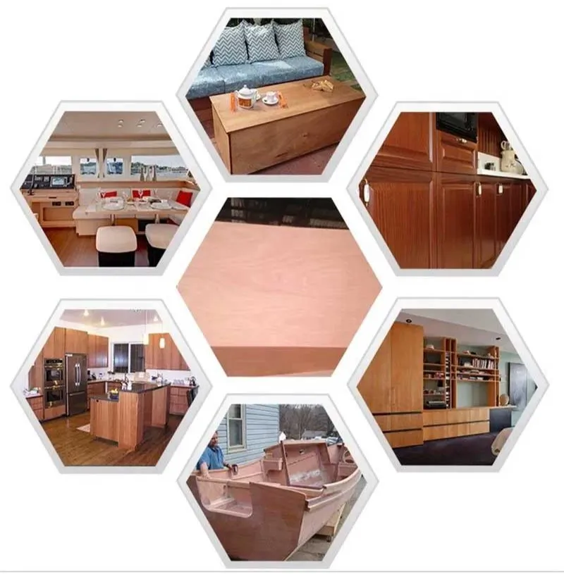 Industry Application