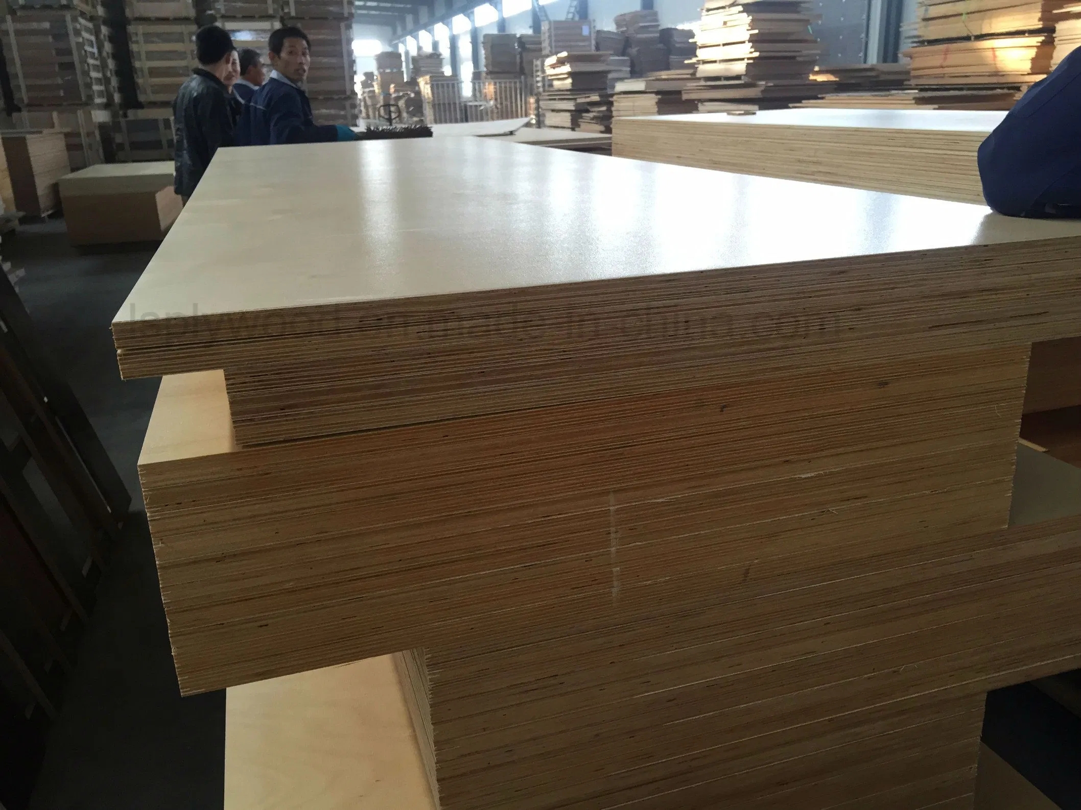 Flexible Plywood/Fire Retardant Plywood Prices/Fireproof Veneer Plywood