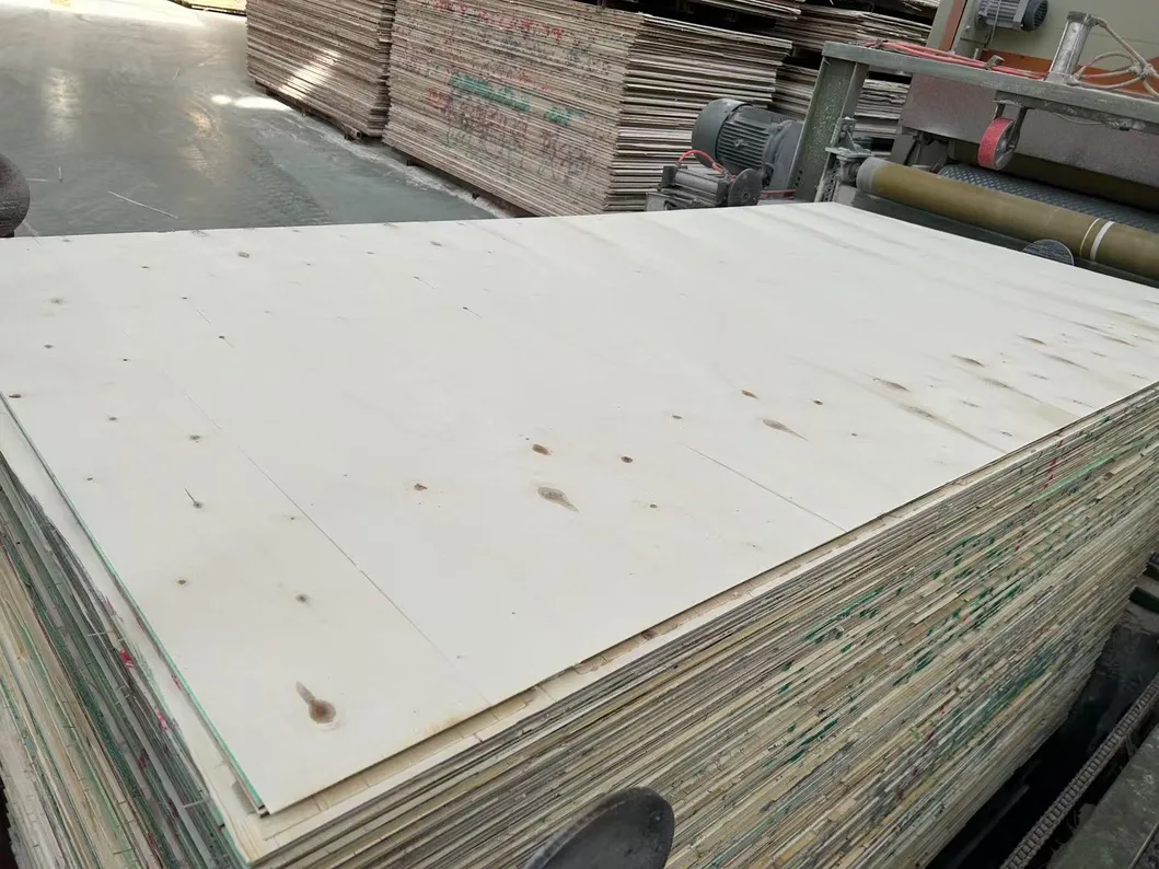 Birch Plywood 3