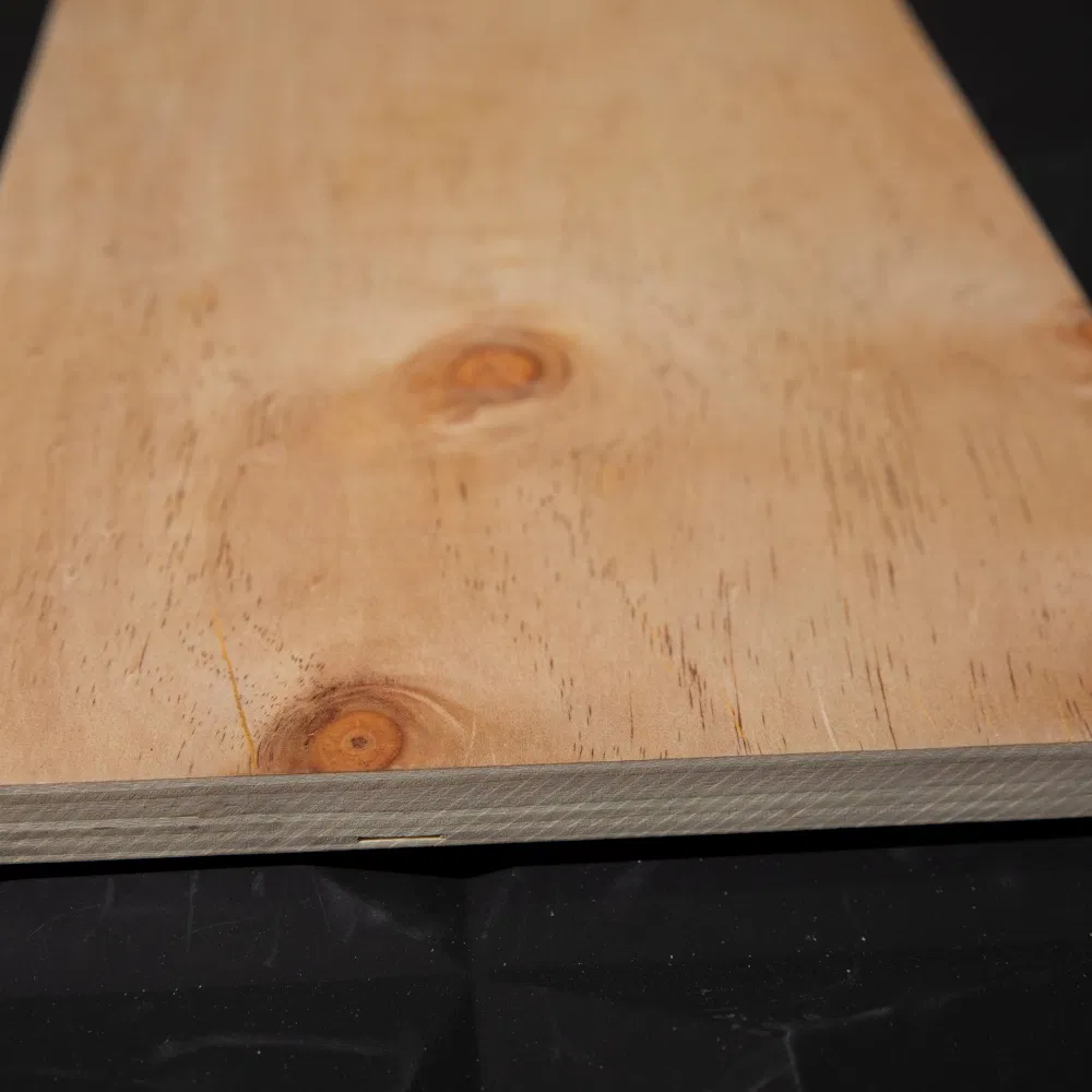CDX Plywood Detail 3
