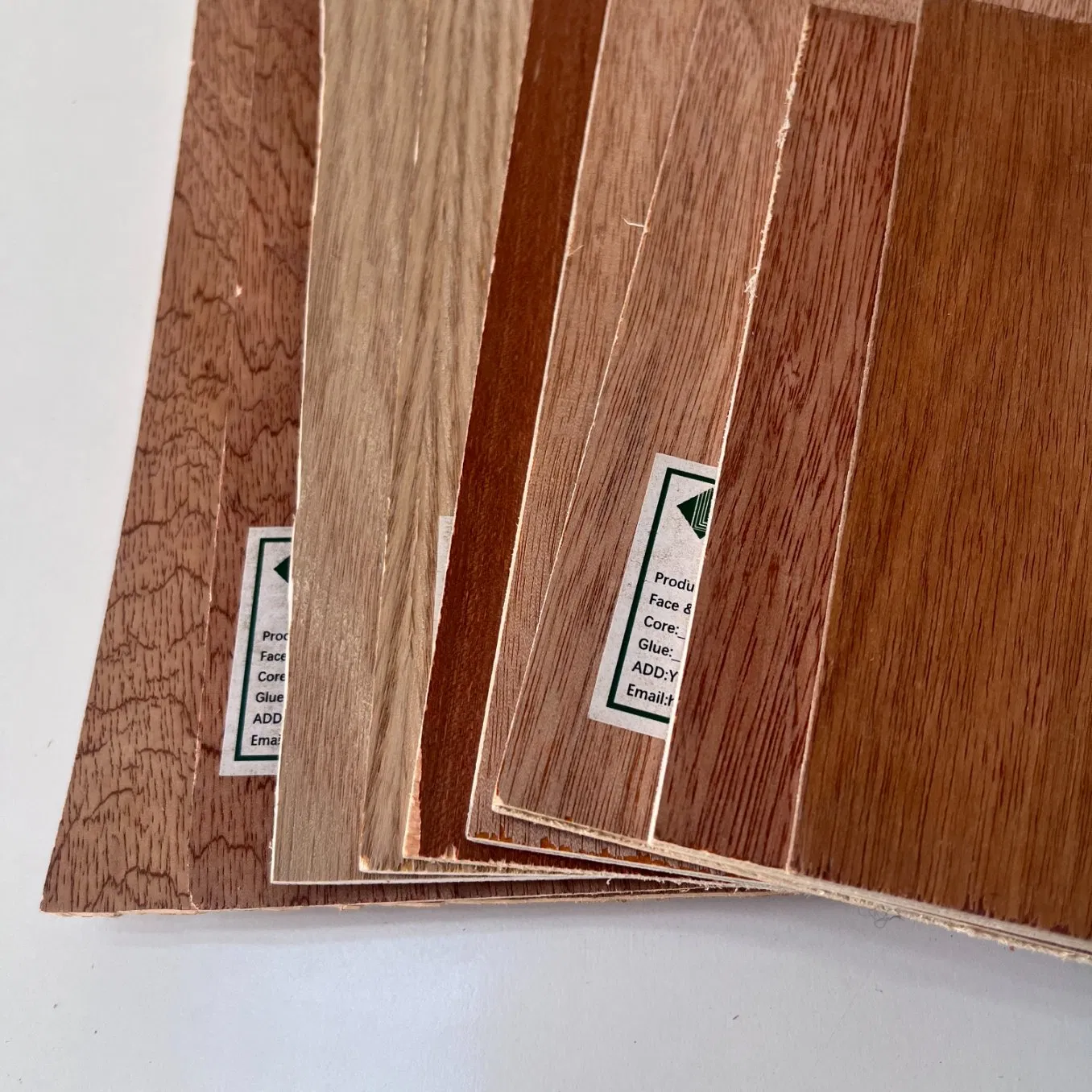 Bb Cc Grade Radiate Pine Plywood for Reliable Structural Support