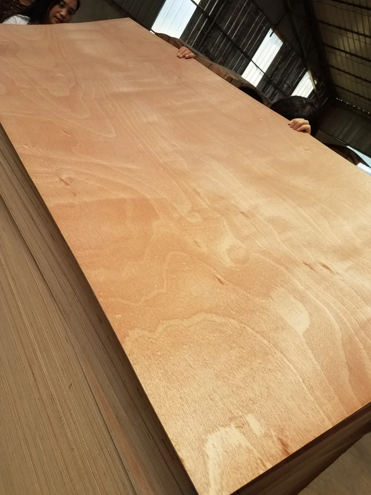 Compared Price 1200*1800mm Furniture Grade Plywood Pine/Okoume/Poplar/Birch Plywood
