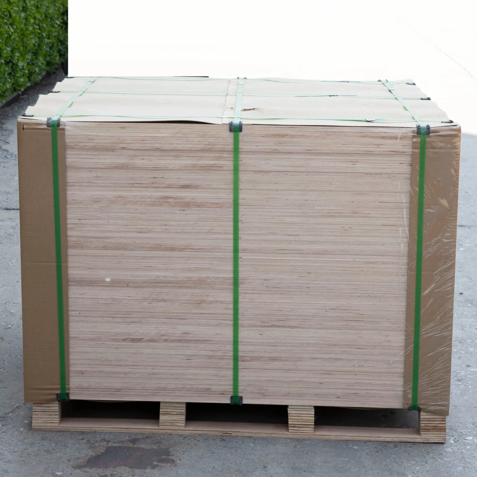 Wholesale 6/9/12/15/18mm 4X8 Inch CDX Pine Core Structural Plywood Sheet Price