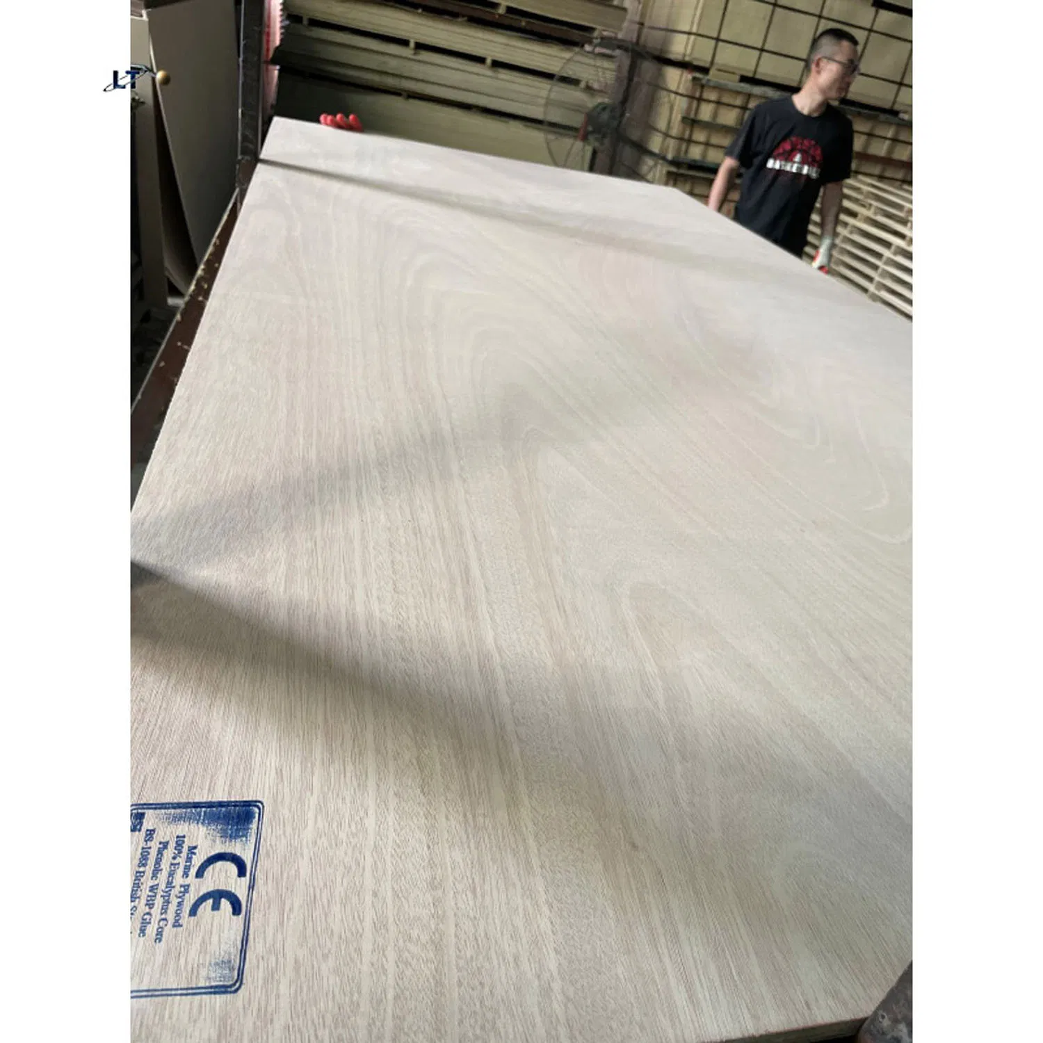 China Linyi 12mm Marine Plywood/Lowes Marine Plywood/Fire Retardant Marine Plywood