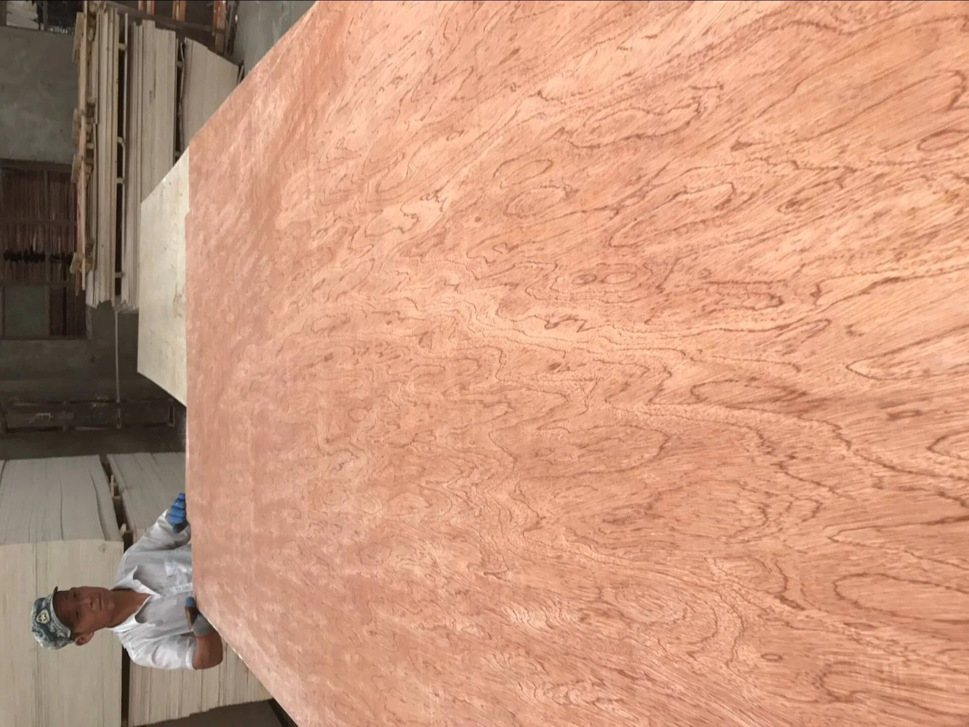 Compared Price 1200*1800mm Furniture Grade Plywood Pine/Okoume/Poplar/Birch Plywood