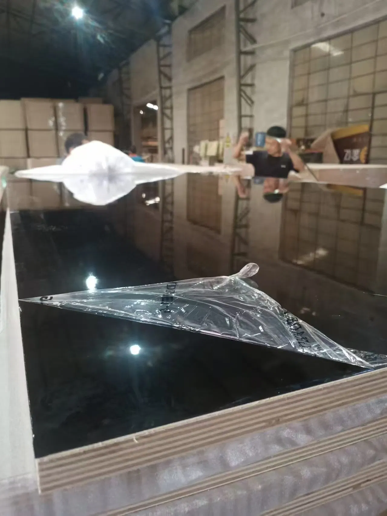 High Grade Pet Laminated Plywood with High Glossy Finish for Furniture Produce