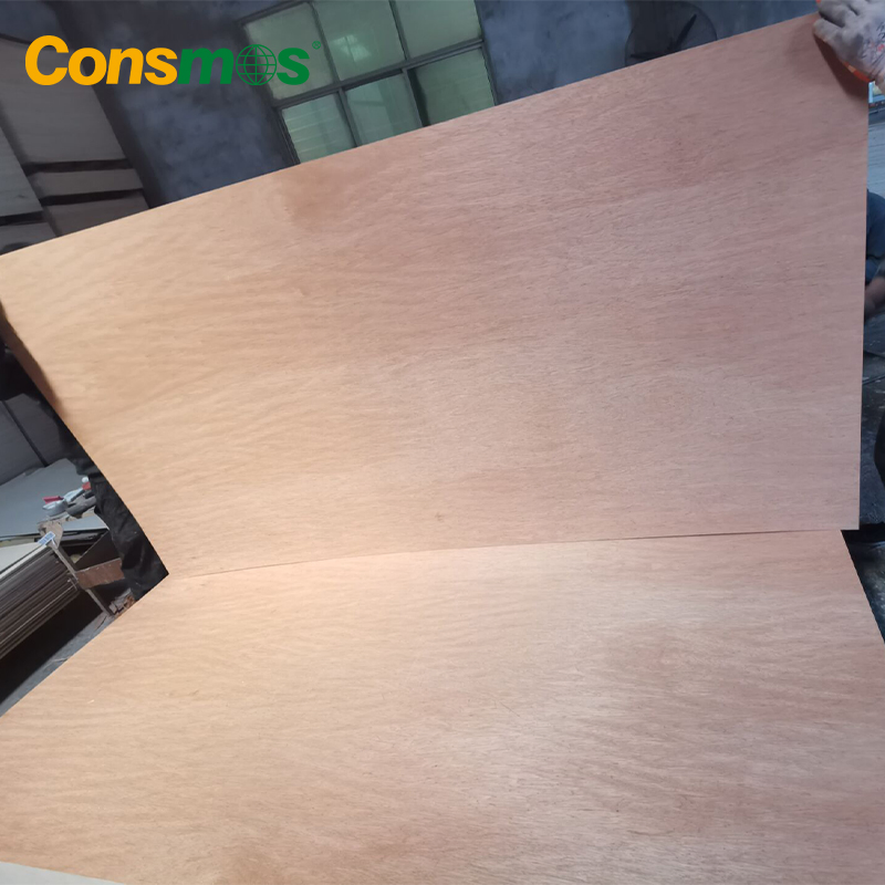 9mm/18mm/22mm Furniture Grade Poplar-Core Laminated Wood Timber Bintangor/Birch/Sapele/Okoume Veneer Commercial Plywood Board