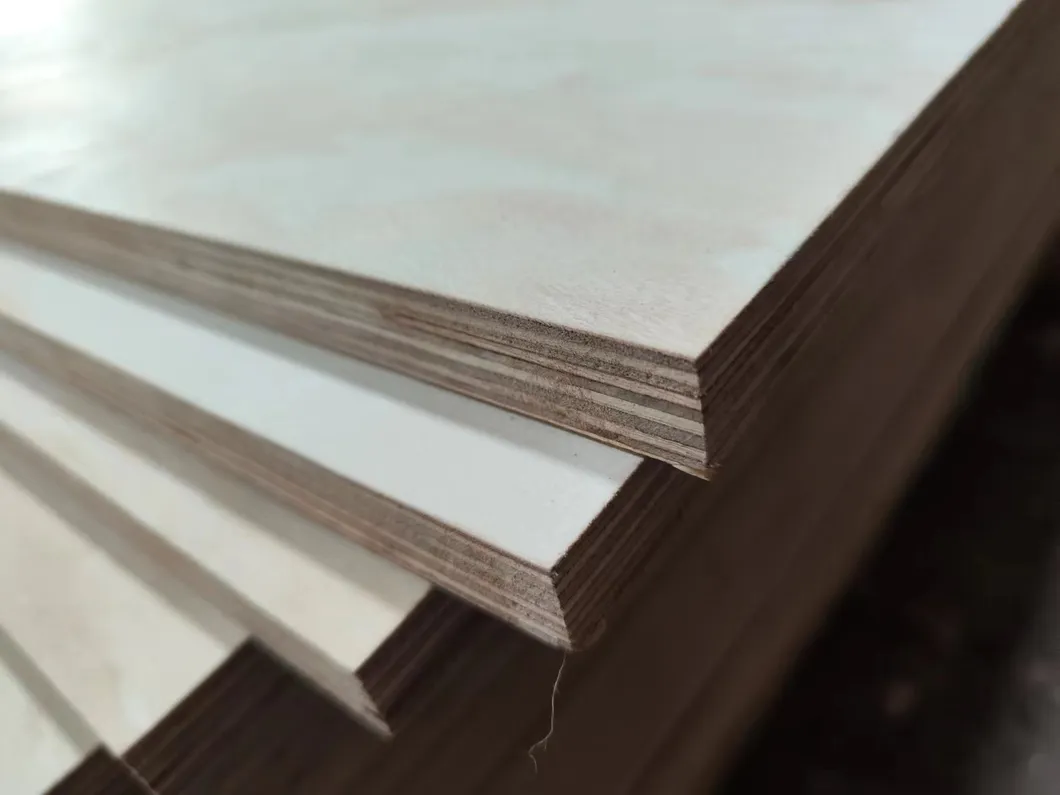 Structural Plywood Detail 2