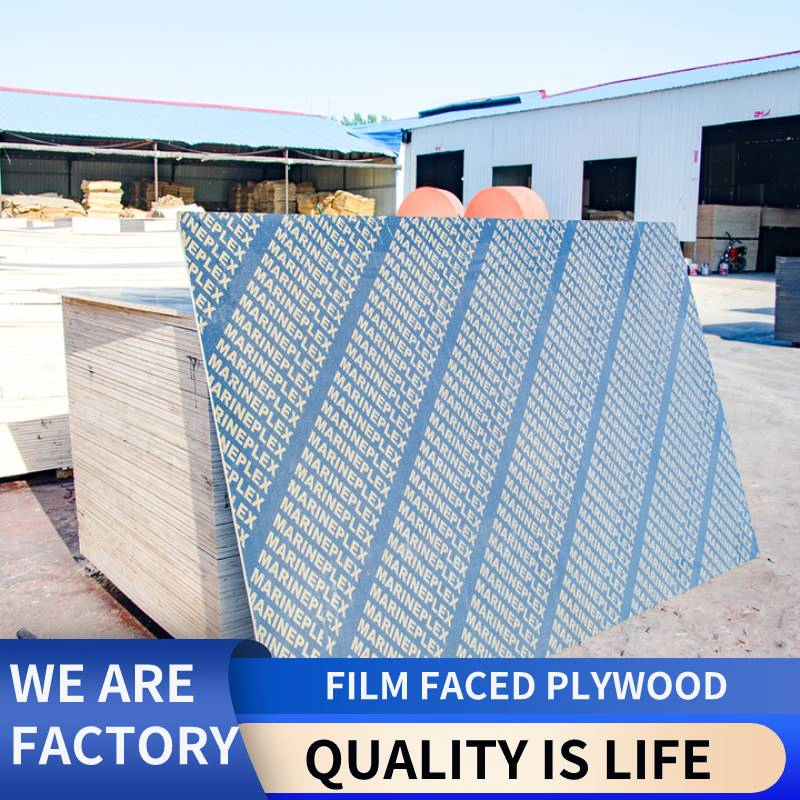 Cheap Price 1220*2440 18mm Plywood Sheet Eucalyptus Core Factory Flexible Duraplex Plywood Biz Standard Film Faced Plywood
