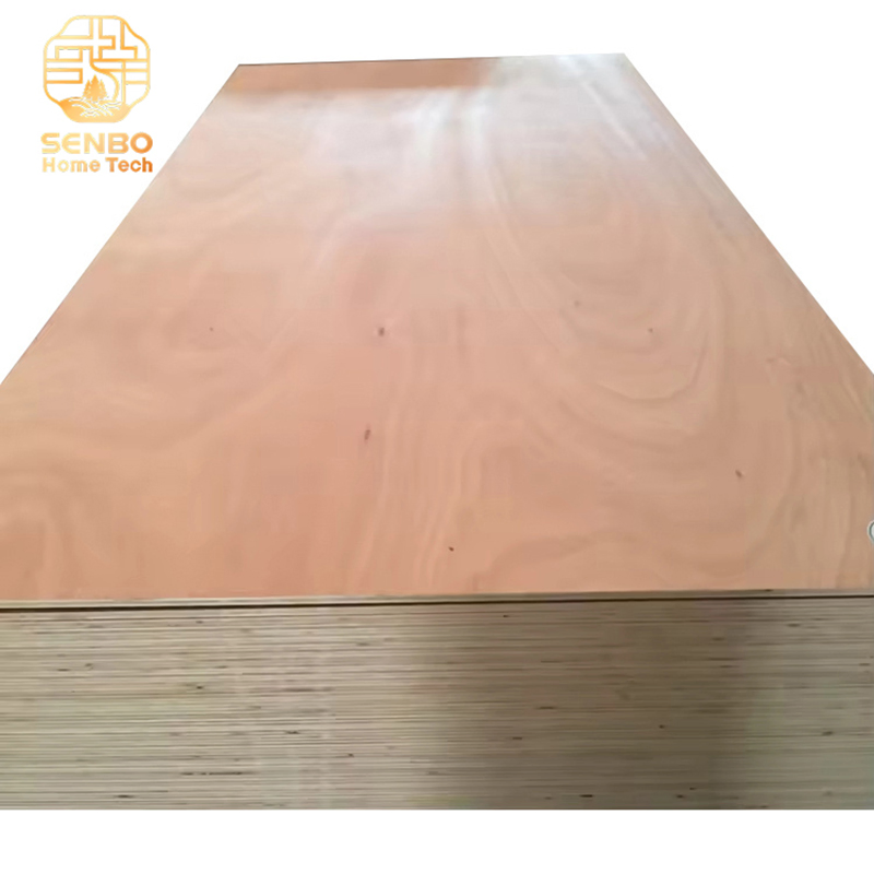 Wholesale 12mm 15mm 18mm Eucalyptus Core Birch Plywood Commercial for Furniture