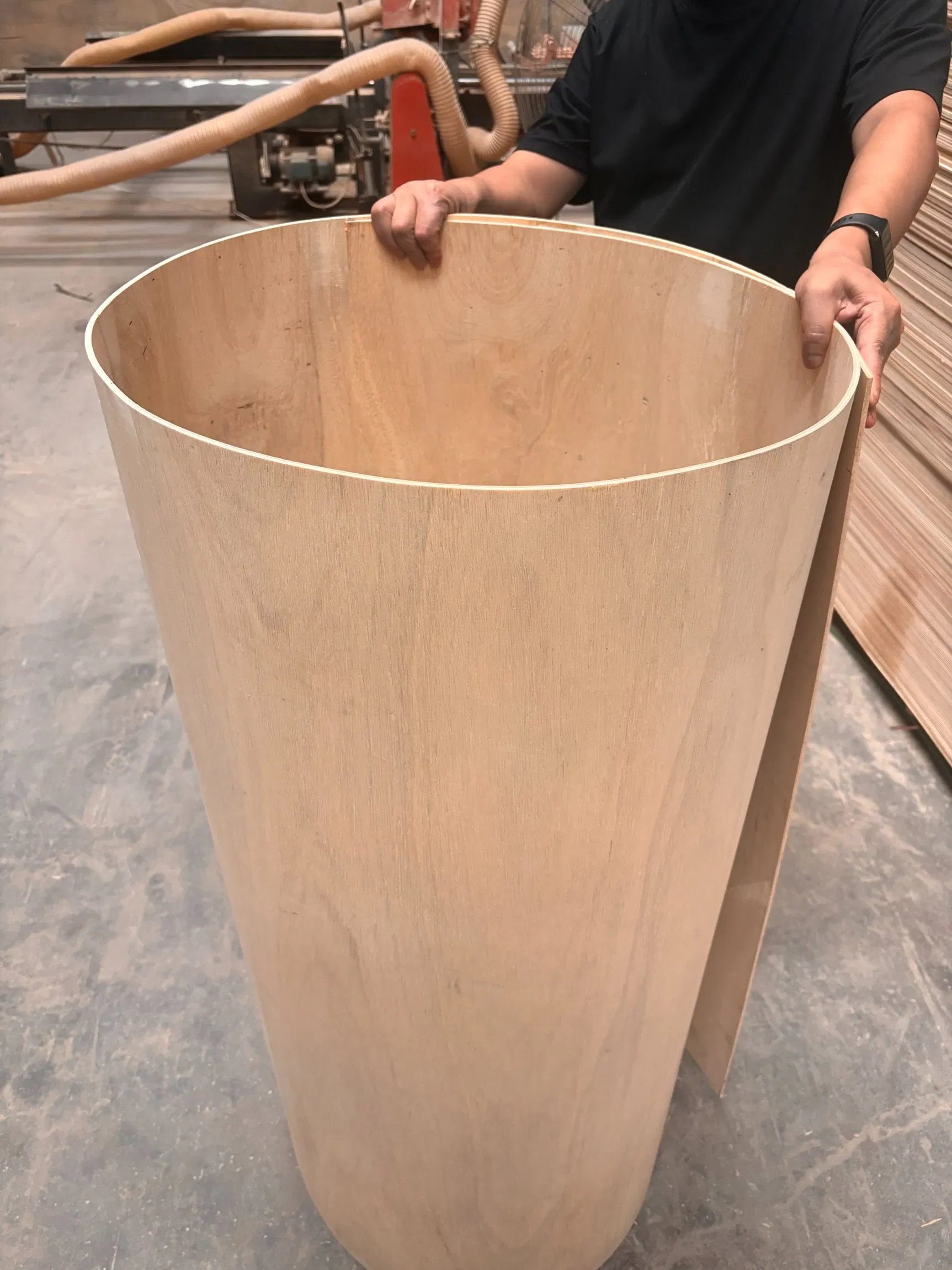 Linyi 2.5mm, 3mm, 4mm, 5m Plywood Flexible Curved Poplar Core Commercial Plywood