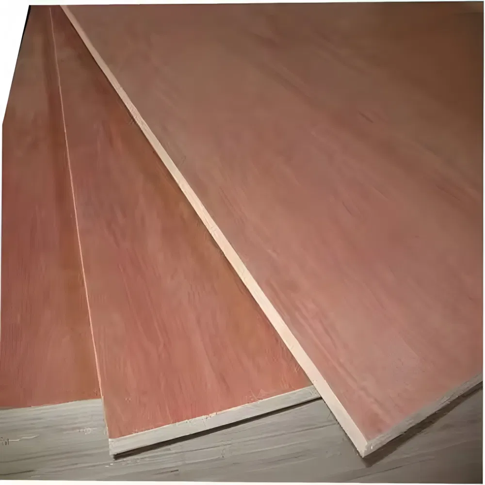 Wholesale 12mm 15mm 18mm Eucalyptus Core Birch Plywood Commercial for Furniture