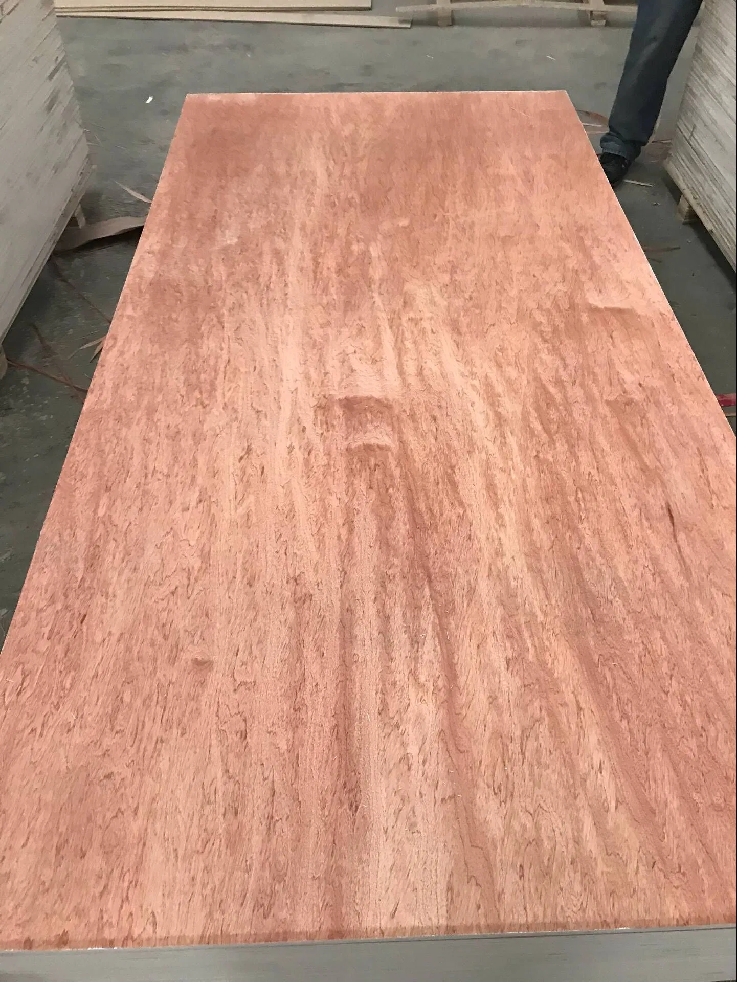 Compared Price 1200*1800mm Furniture Grade Plywood Pine/Okoume/Poplar/Birch Plywood