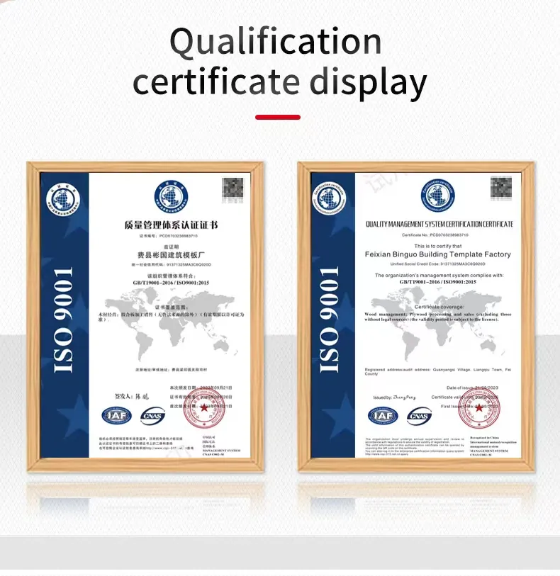 Film Faced Plywood 2