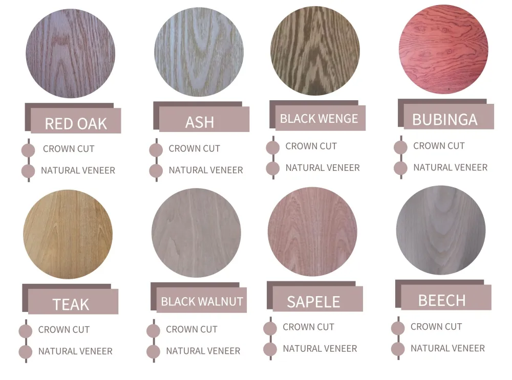 Fancy Plywood Display