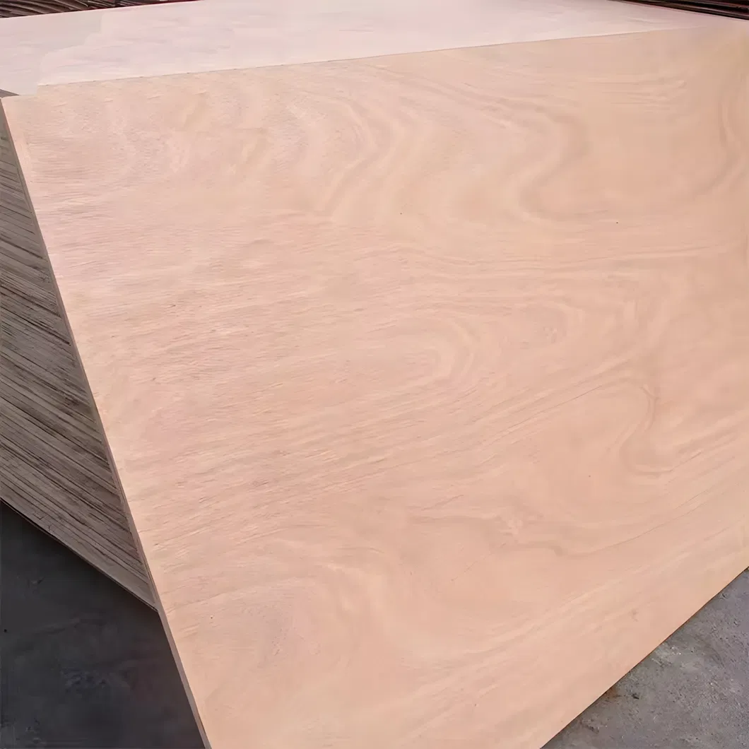 Plywood Close Up