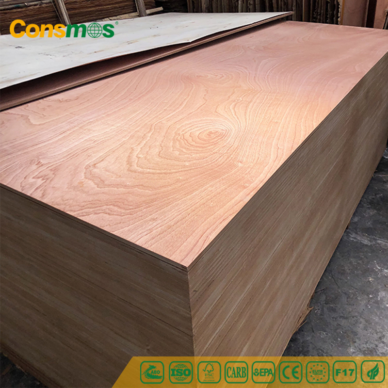 High Quality 12mm 15mm 18mm Waterproof Furniture Grade Sapele Bintangor EV Poplar Birch Veneer Hardwood Commercial Plywood Boards
