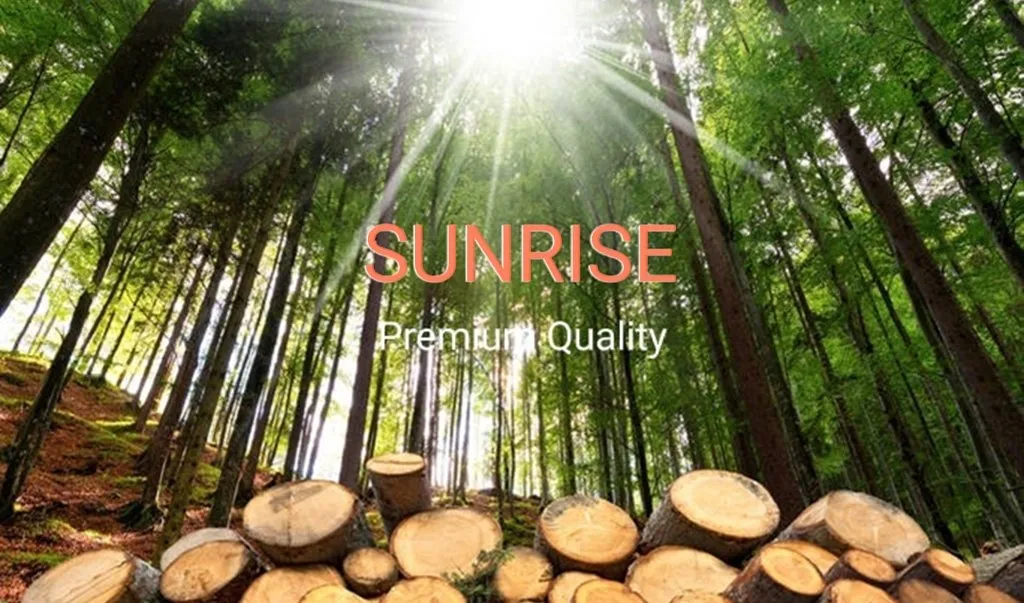 Flexible Plywood Fancy Anti Slip