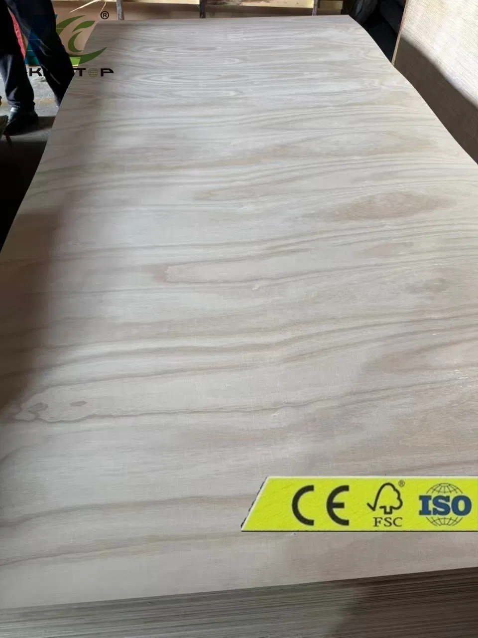 Super Paulownia, Hardwood, EV Material Soft Bending Plywood /Flexible Plywood for Furniture