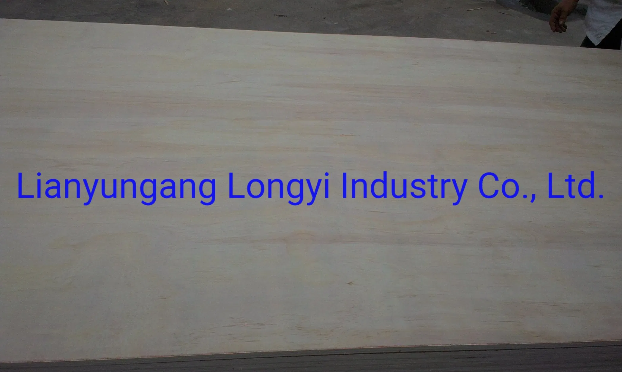 Radiata Pine Plywood for Construction
